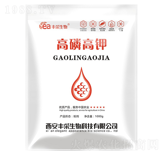 ���׸��-�S������