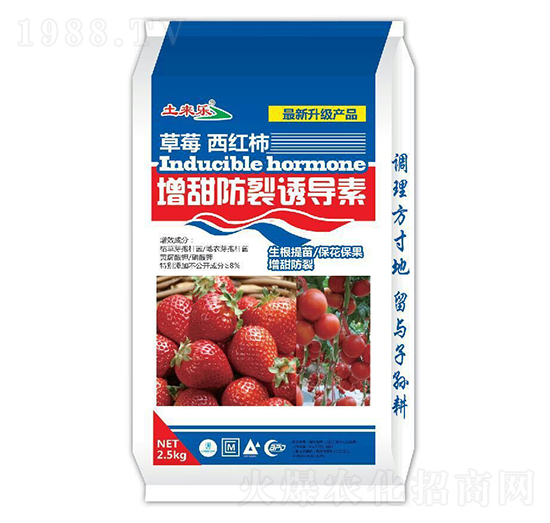 ��ݮ���t����������T����-���혷