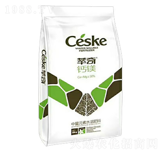 �}�V-����-���S��