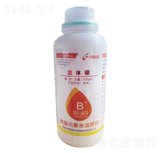 ���w��-���ظ߿�