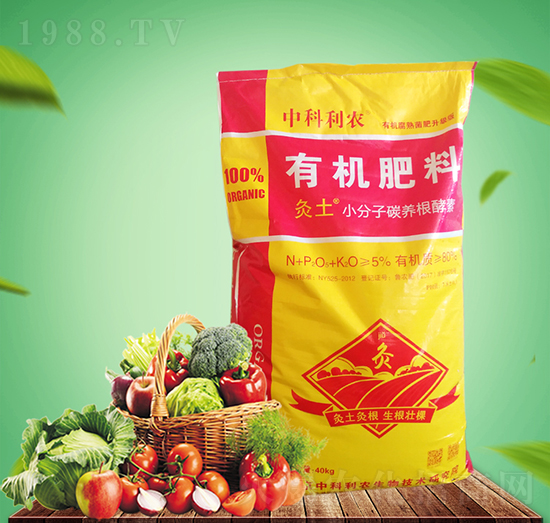 �ЙC(j��)��-�п����r(n��ng)