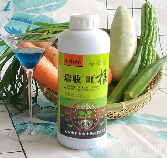 ��������-�п����r