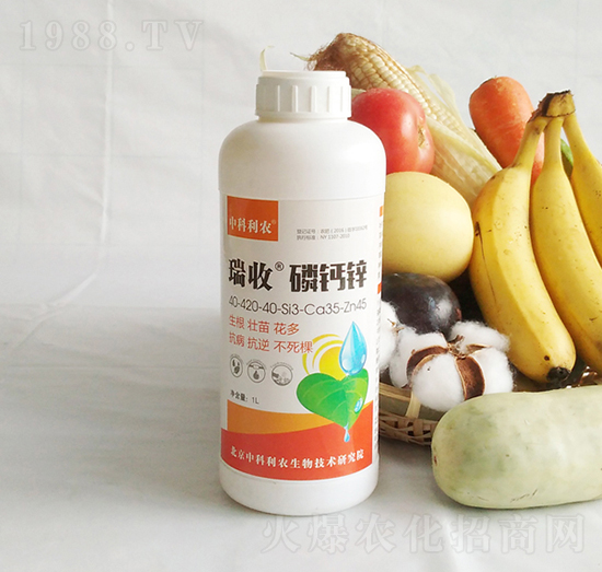 �������}�\-�п����r(n��ng)