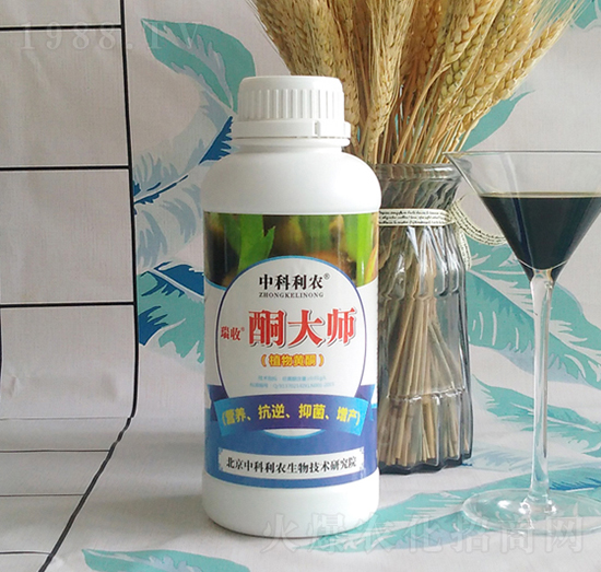 ͪ��-�п����r(n��ng)