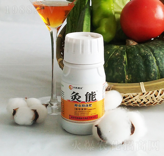 ����-�п����r(n��ng)