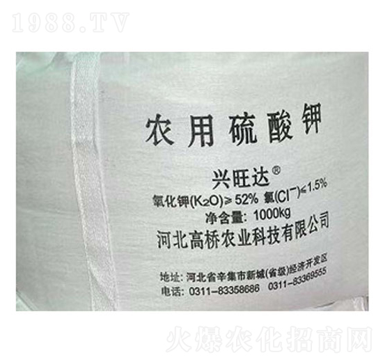 �r(n��ng)�������-�ߘ��r(n��ng)�I(y��)