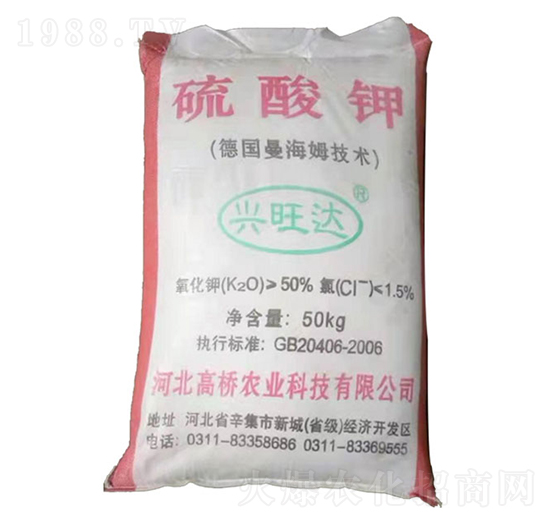 50%�w�������-�ߘ��r�I(y��)