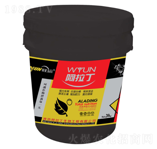 �_ʩ��-������