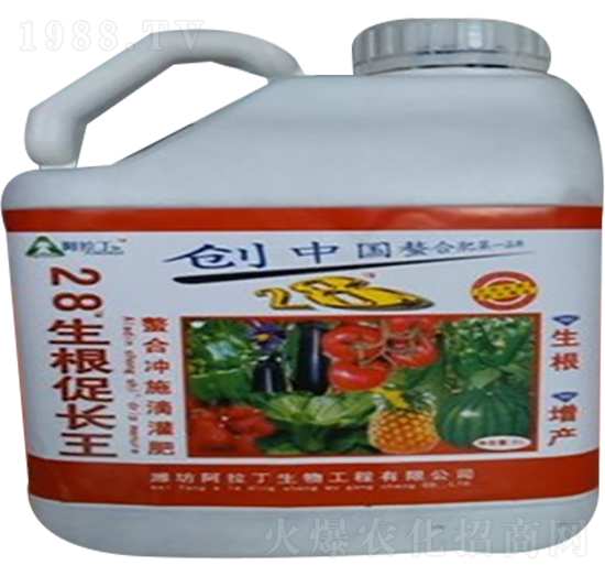 �������L(zh��ng)��-������