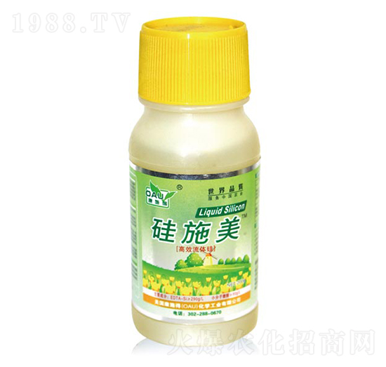 ��ʩ��-��ʩ��