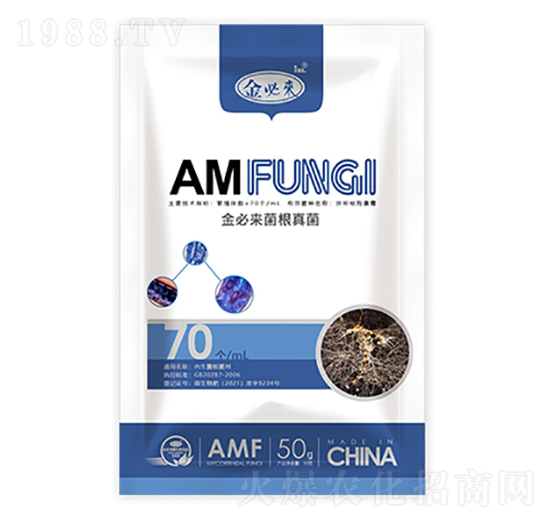 �������-��؁�����