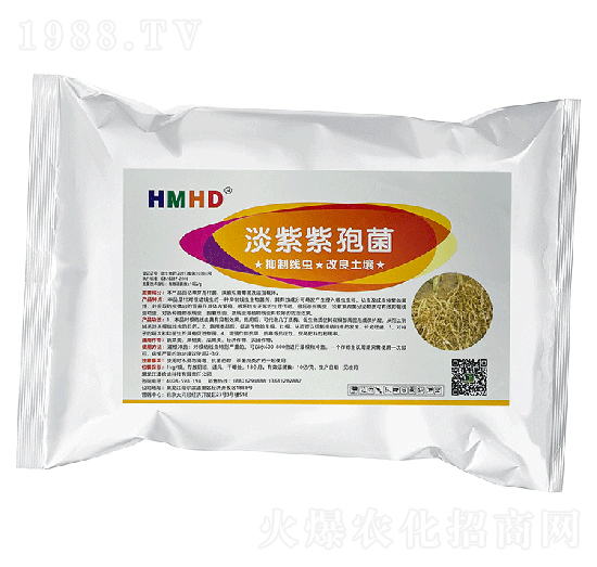 �������߾�-�ο�ֲ��