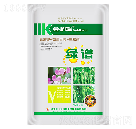 �G�V�����-�����