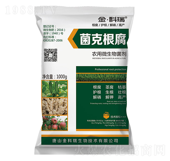 ���˸���-�����