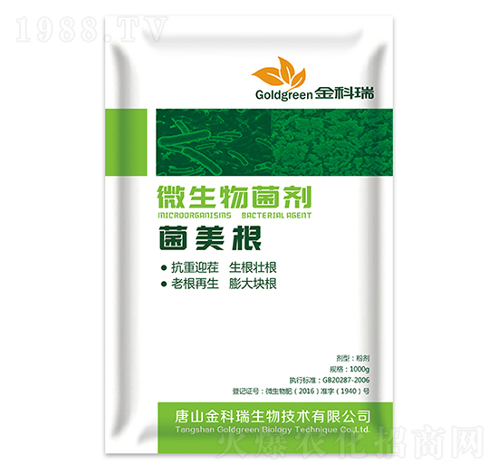 ΢�������-������-�����