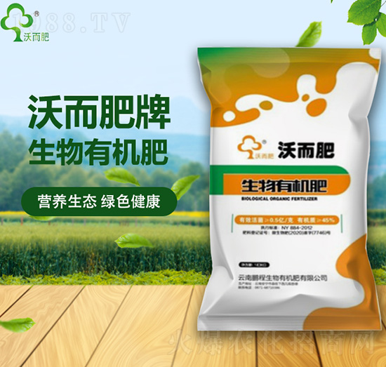 �����ЙC(j��)��-�ֶ���-�i������