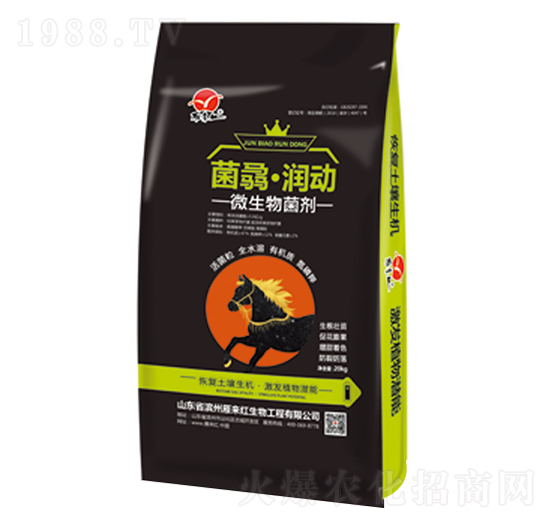 ΢�������-���T������-����t