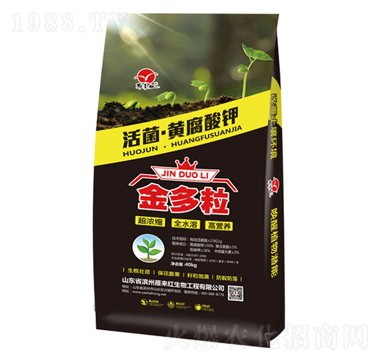 ������S�����-�����-����t