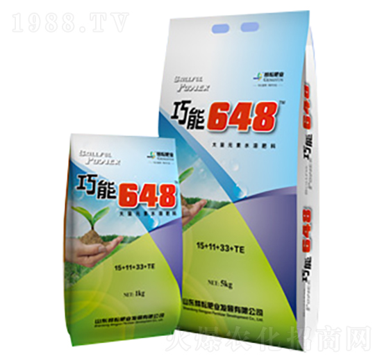 ����I�B(y��ng)�ʹ���Ԫ��ˮ�ܷ�15-11-33+TE-����648-���ŷʘI(y��)