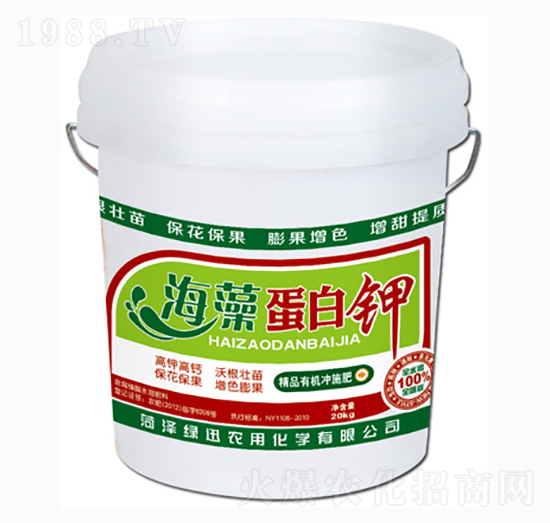 ���嵰���-�GӍ