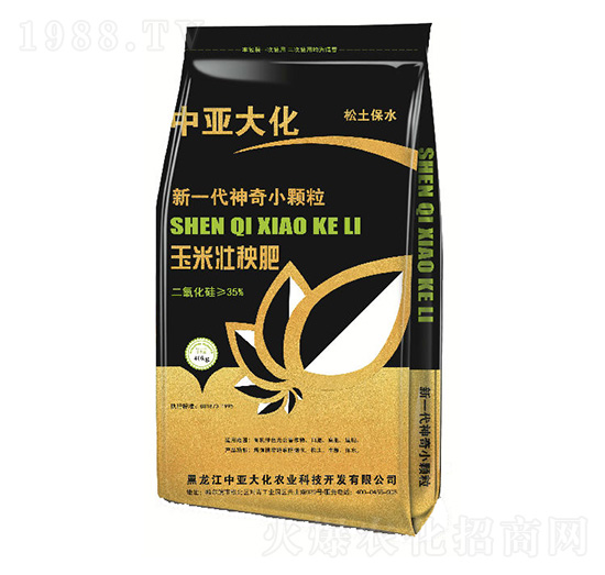 ���׉�����-�Ё���