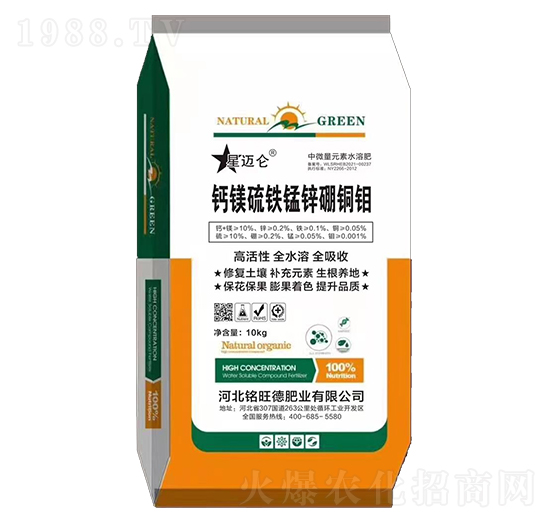 �}�V���F�i�\���~�f-����·ʘI(y��)