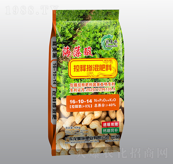 �������ጓ������16-10-14-����ʩ