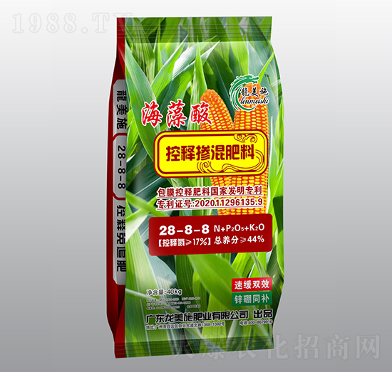 �������ጓ������28-8-8-����ʩ