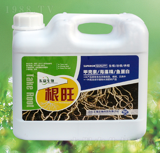 �����B(y��ng)����-�������أ�-�|������