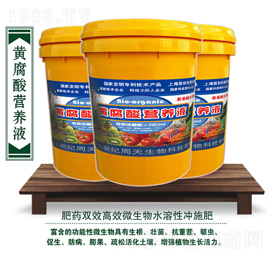 �S����I(y��ng)�B(y��ng)Һ-��������