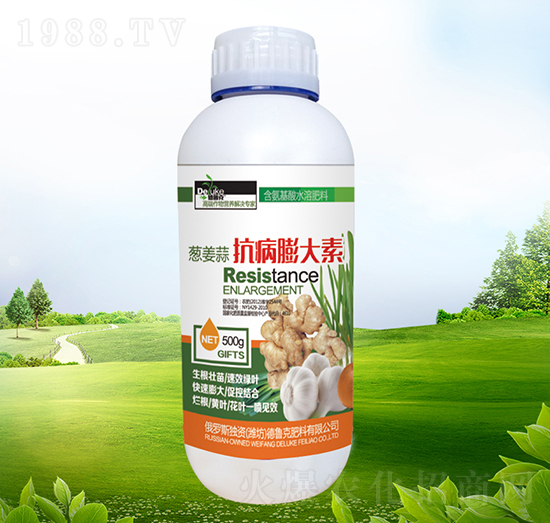 �[���⿹�������-������