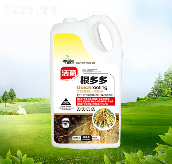 ��������-������