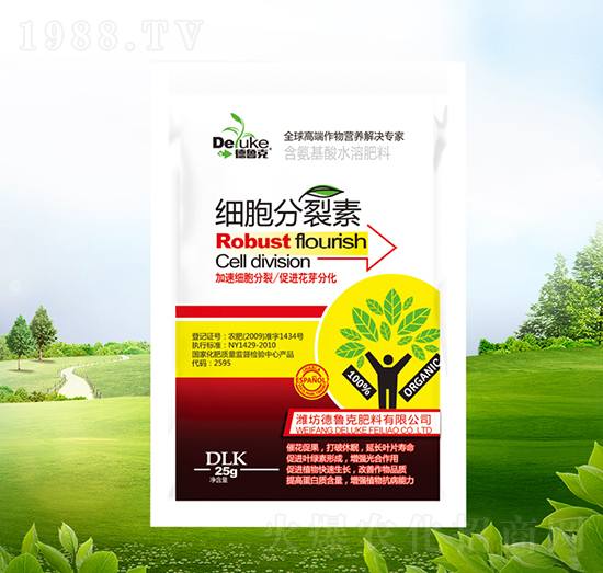 ����������-������