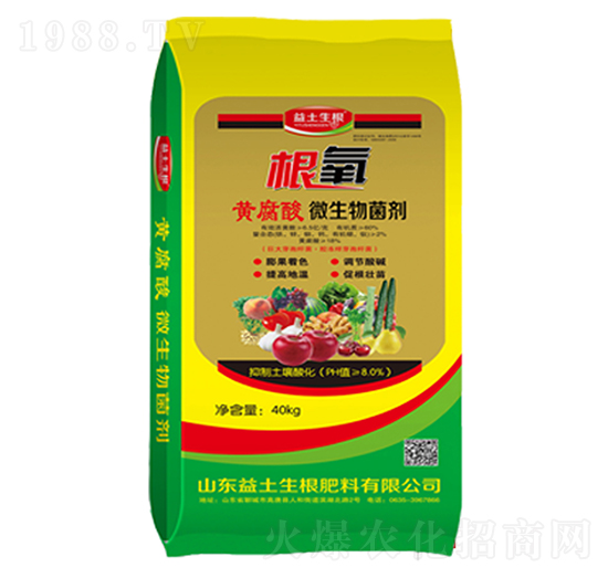 �S����΢�������-����-����