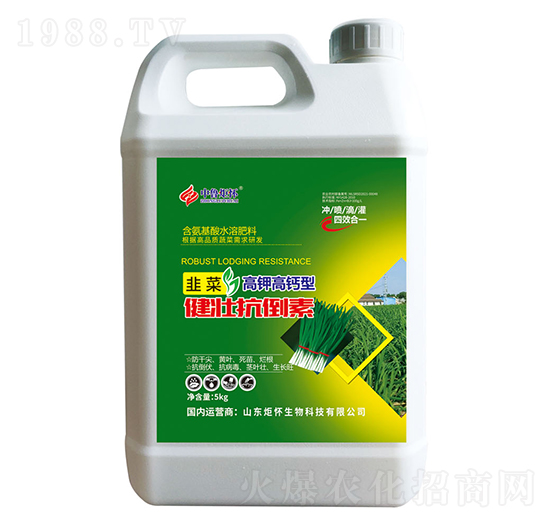 �²˽��ѿ�����-ɽ�|�������