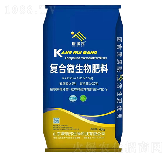 25%�ͺ�΢�������-�����