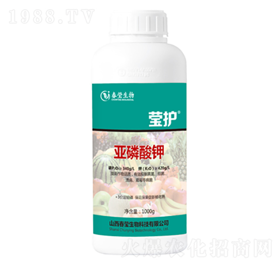 �������-���o-��������