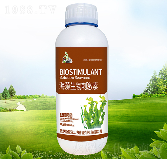 ��������̼���-������