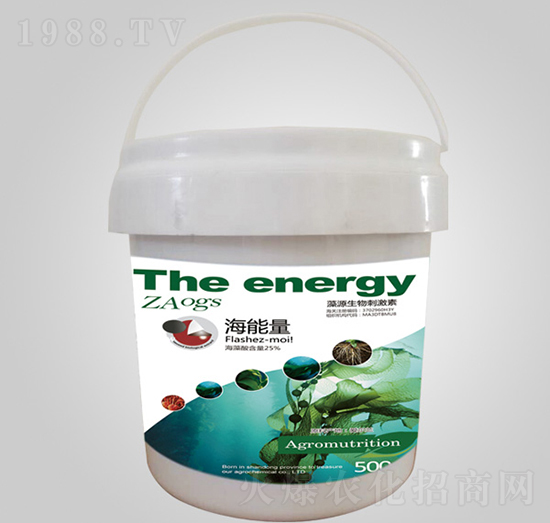 ������-��ٝ