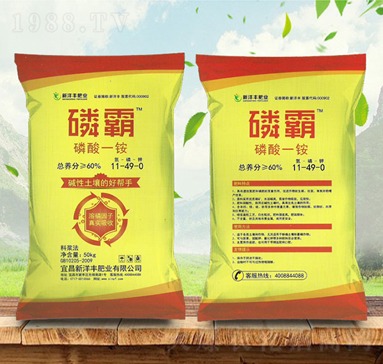 ����һ�@11-49-0-�װ�-����r�Y