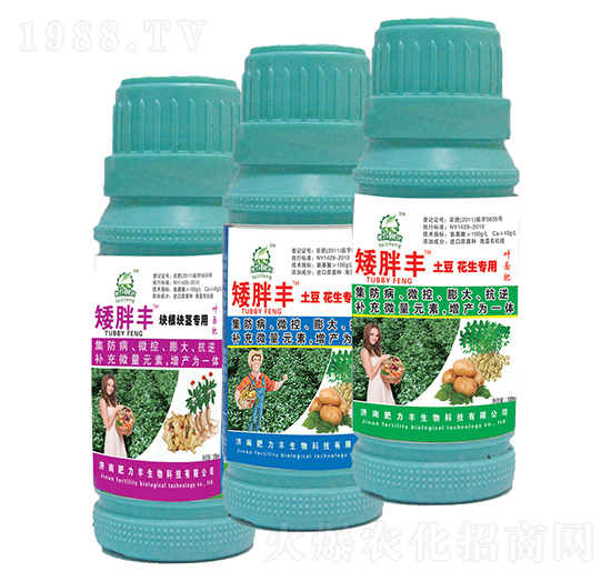 �����S�~���-������