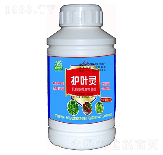 ������΢�������-�o�~�`-������