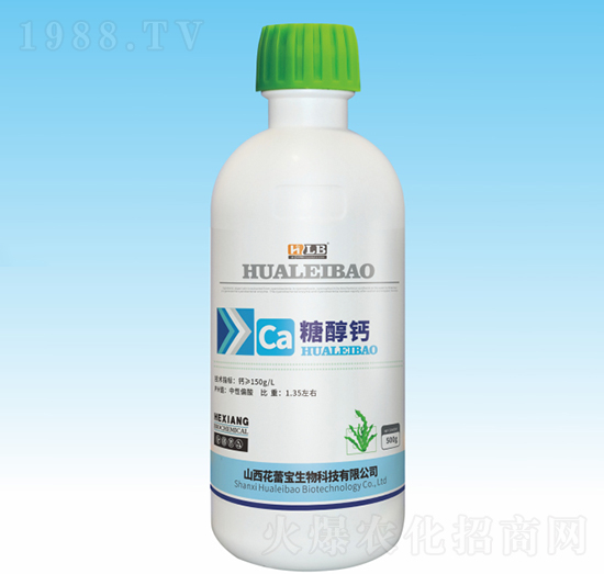 �Ǵ��}-���ٌ�����