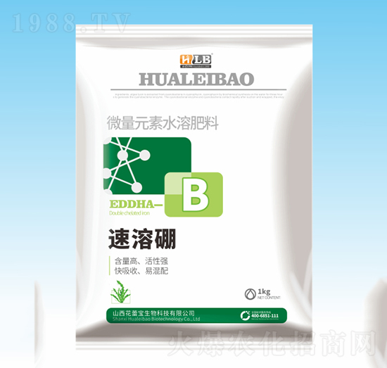 ������-���ٌ�����