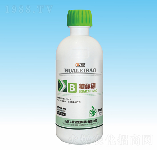 �Ǵ���-���ٌ�����