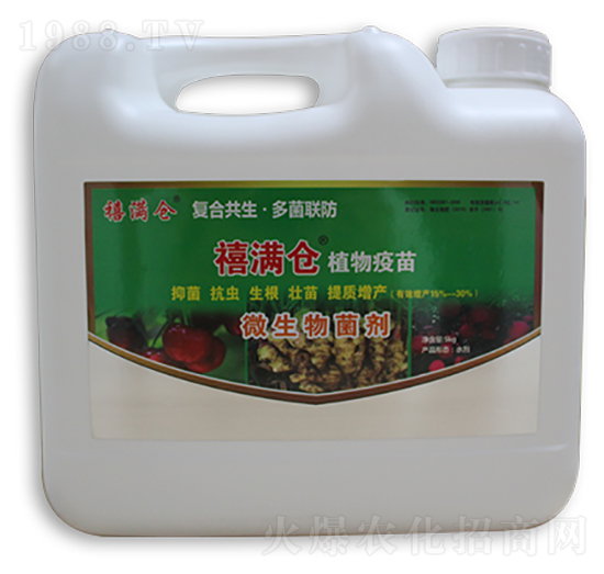 ���M�}΢�������-���M��΢