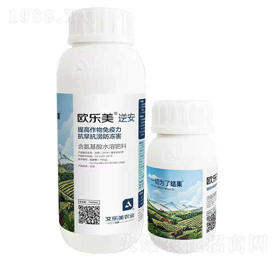 �W����-�氲-������