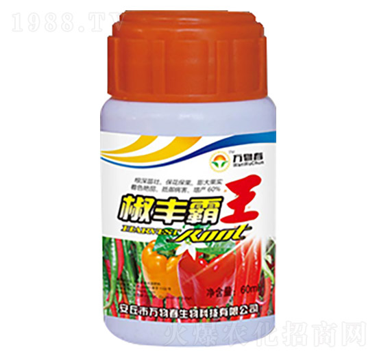 ���S����-�f(w��n)�ﴺ