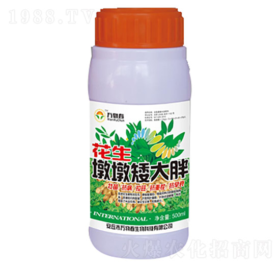 500ml�����նհ�����-�f�ﴺ