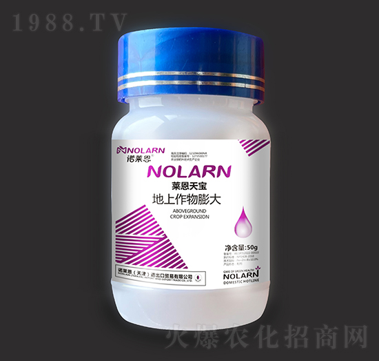 �R���쌚-�����������-�Z�R��